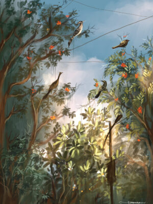 Early Birds