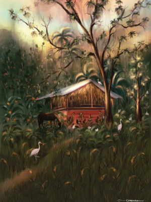 Horse Home